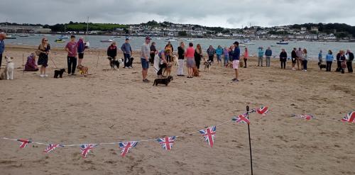 Photo Gallery Image - Dog Show- Community on Show. Photo credit Sally Beer