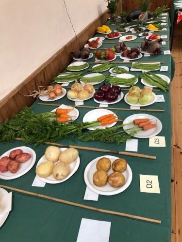 Photo Gallery Image - Vegetable entries- Community on Show. Phot credit Rachel Stenton